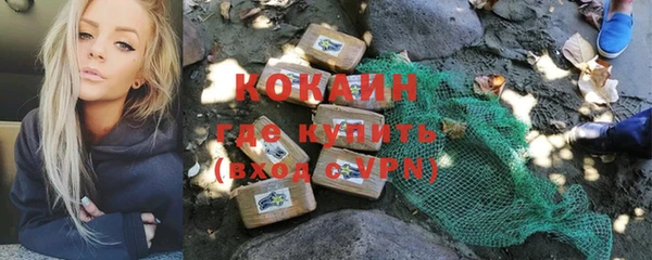 сатива Алзамай