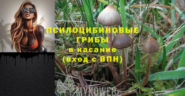 сатива Алзамай