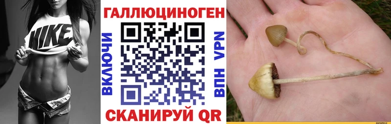 купить цена Николаевск Псилоцибиновые грибы мухоморы